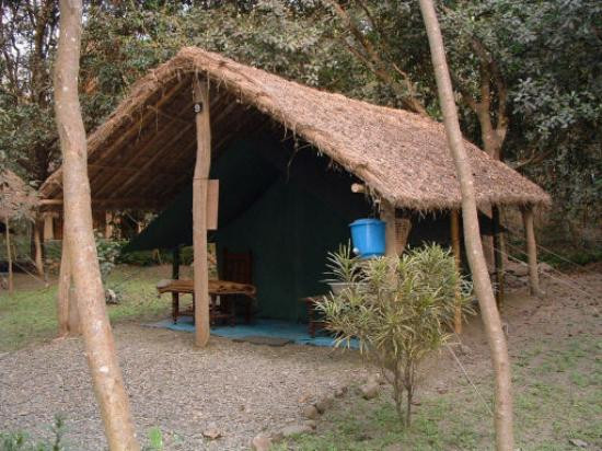 Koshi Tappu Wildlife Reserve-东部地区必去景点