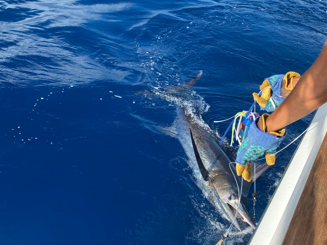 Nambas Fishing Charters-维拉港必去景点