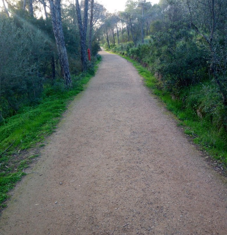 Parco Colle Rosmarino