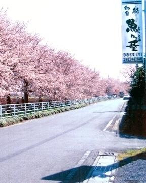 鮨と和食の店 魚々屋