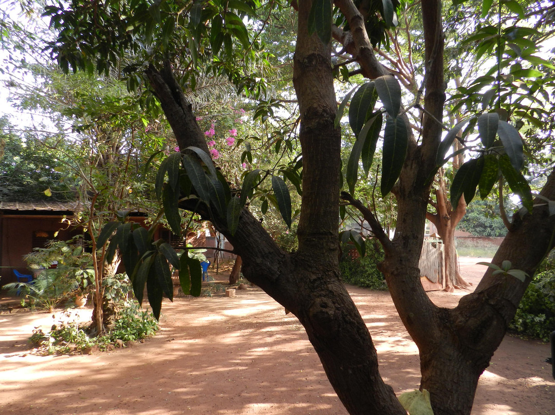 Casa Africa