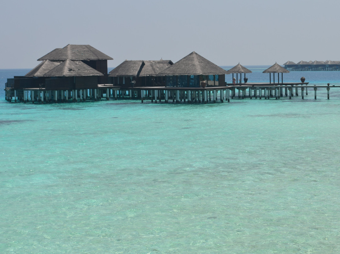 Coco Residences By Coco Collection