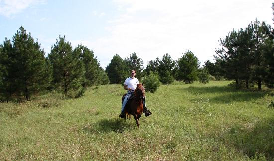 Collins Natural Horsemanship-Dubach必去景点