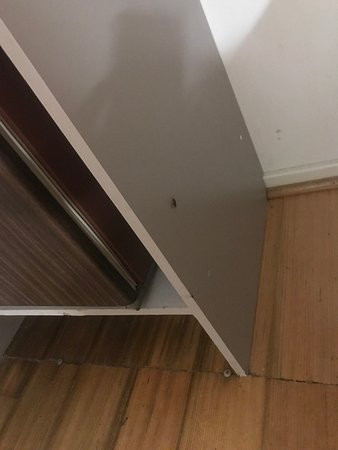 Palms Oasis Motel主图