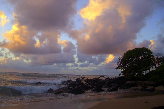 利德盖特州立公园-Wailua必去景点