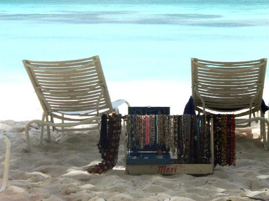 Saona Island-La Altagracia Province必去景点