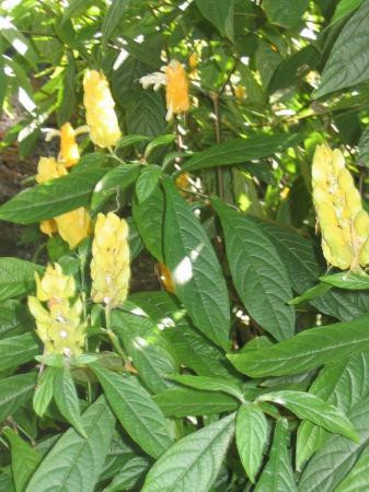 威美亚山谷-哈雷瓦必去景点