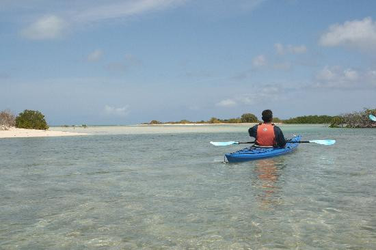 Big Blue Collective-普罗维登西亚莱斯必去景点