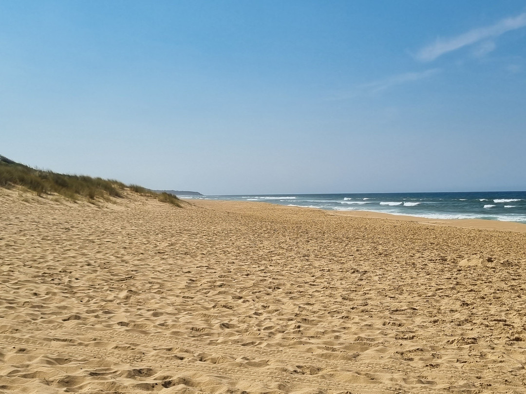 Eastern Beach景点图片