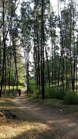 Nargol Beach-Nargol必去景点