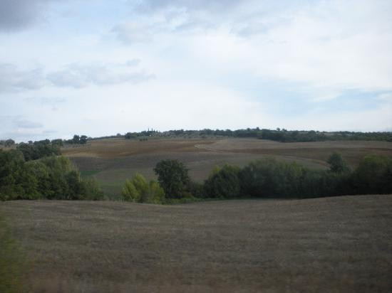 托斯卡纳葡萄酒之旅-锡耶纳必去景点