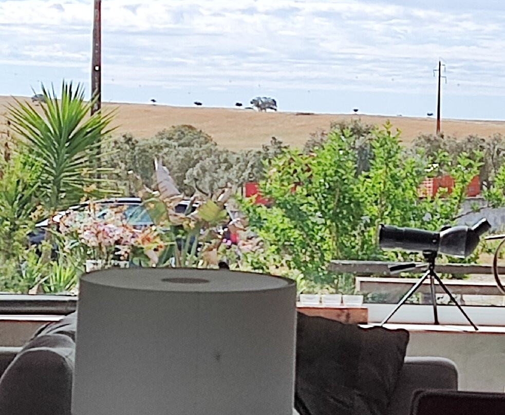 Monte dos Pocos Agroturismo主图