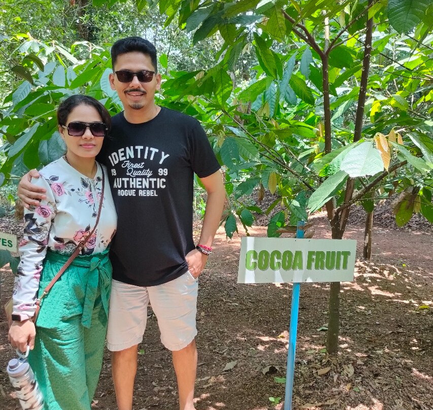 Mercara Gold Estate Coffee Plantation景点图片