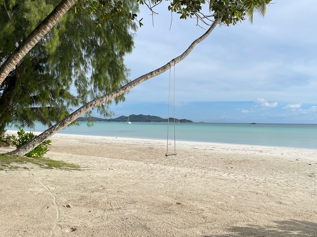 科多尔沁蓝俱乐部酒店主图