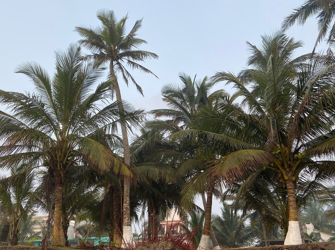 Hotel Estrella Del Mar主图