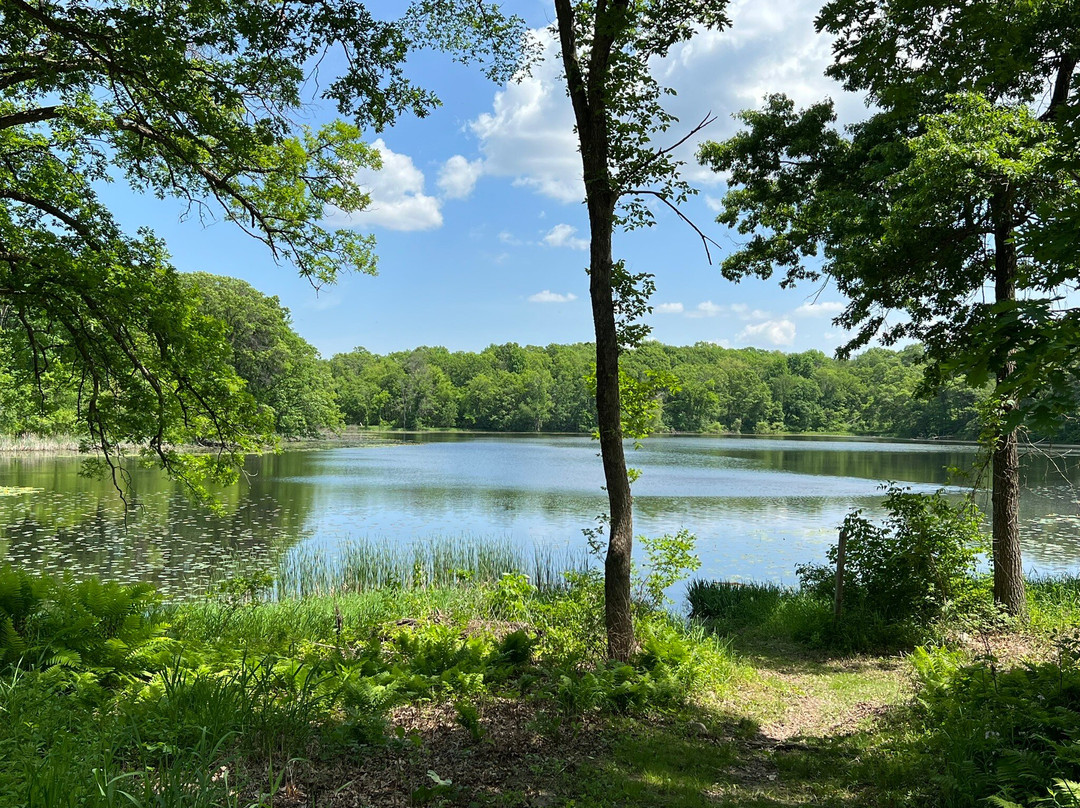 Lebanon Hills Regional Park景点图片