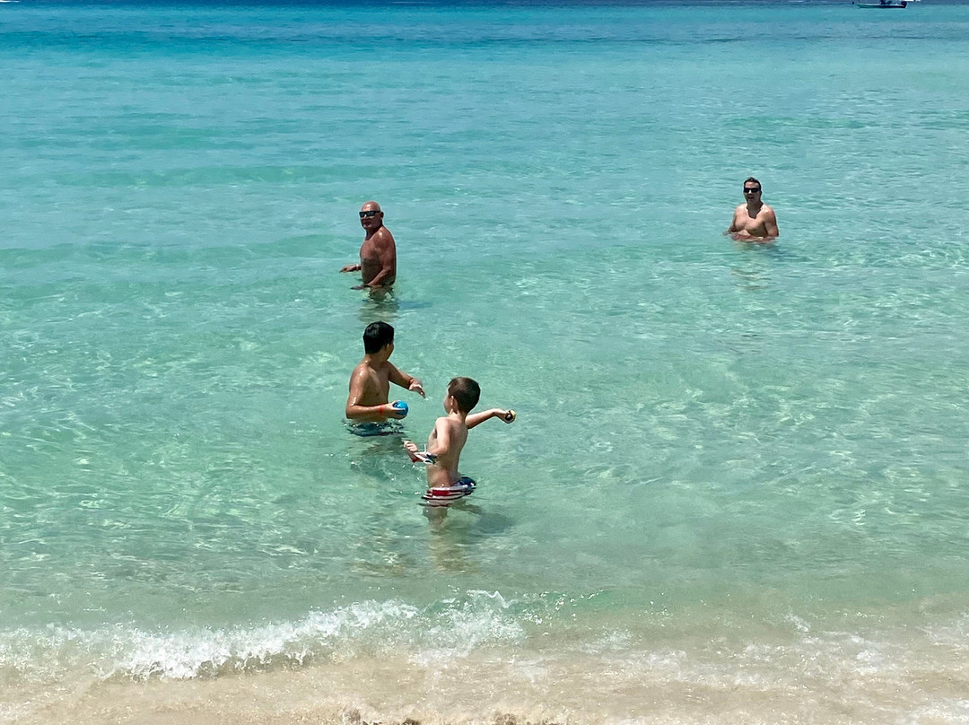 Osprey on the Gulf主图