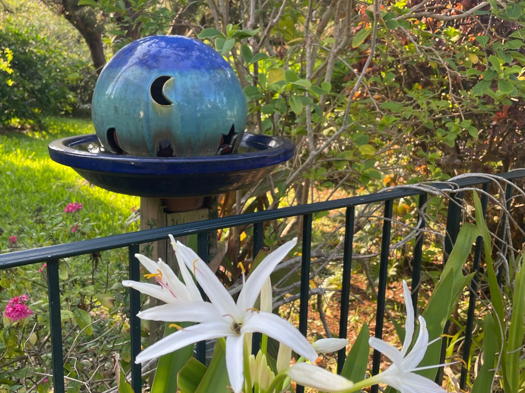 Kingston House B&B主图