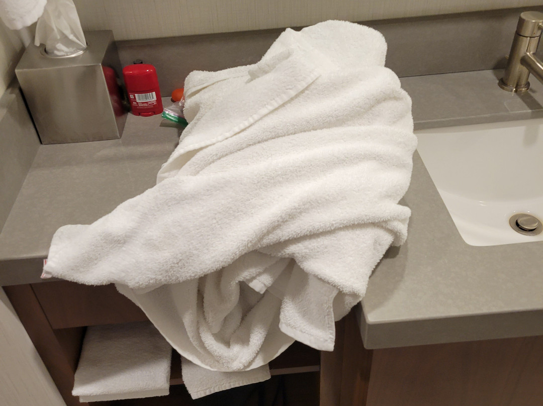 SpringHill Suites by Marriott Bozeman主图