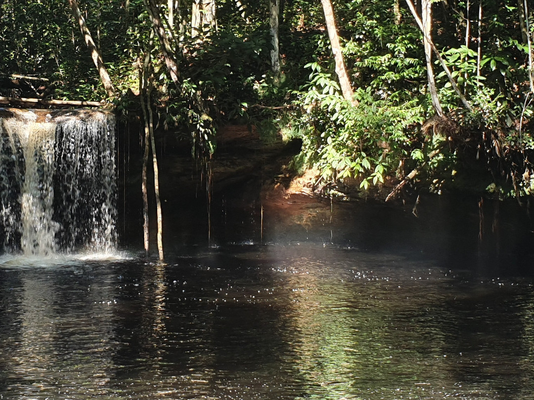 Amazon Green Island tour-Novo Airao必去景点