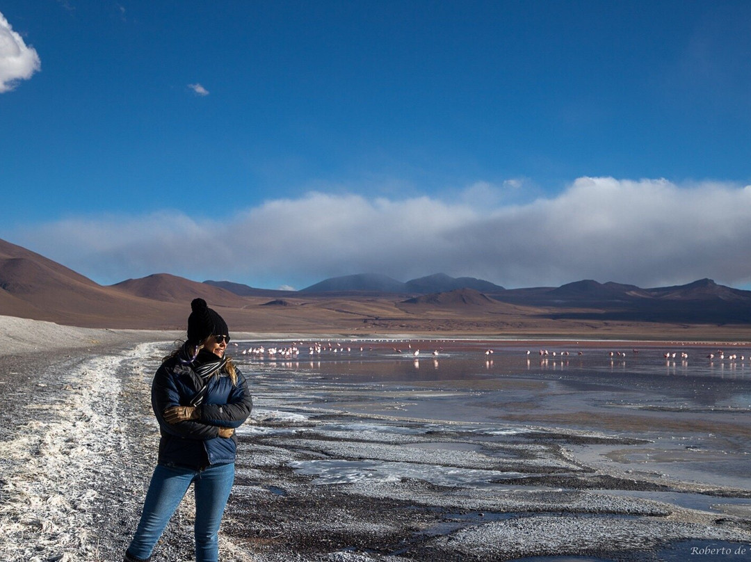 Extreme Fun Travel景点图片