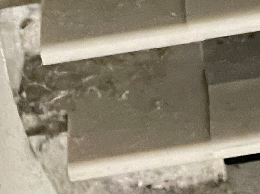 Hampton Inn Debary Deltona主图