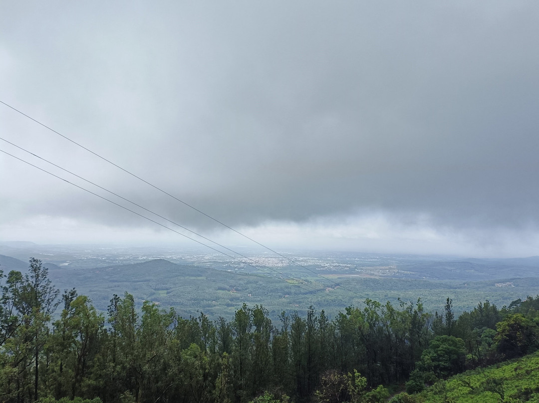 Chikkamagaluru District酒店住宿-Binary Exotica Luxury Hotels and Resorts