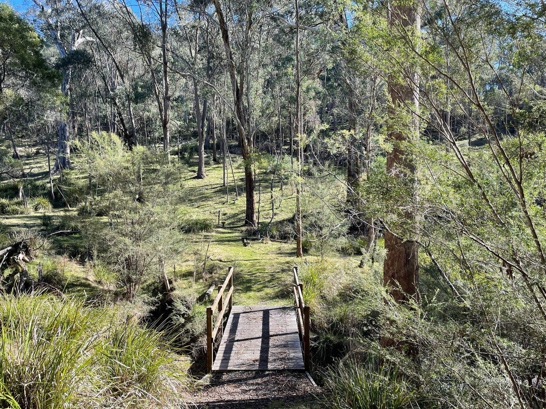 Candlebark Nature Trail