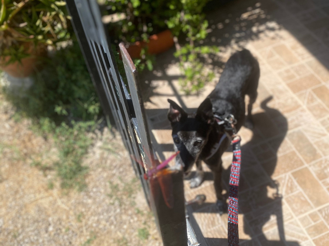 B&b Villa Romina主图