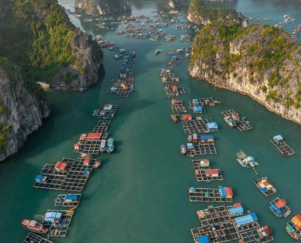 Luxury Travel Co., LTD-河内必去景点