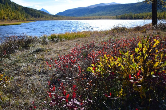 Tofalarskiy Reserve-Bolshaya Rechka必去景点