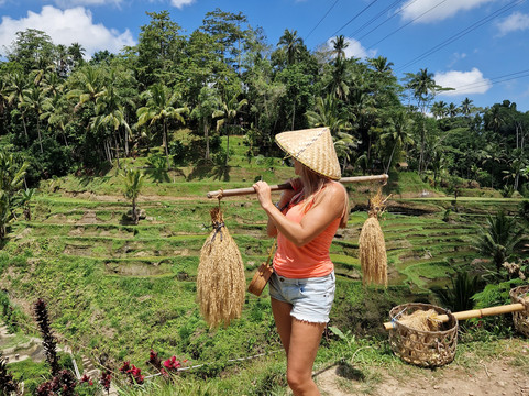 Bali Ubud Private Tours-乌布必去景点