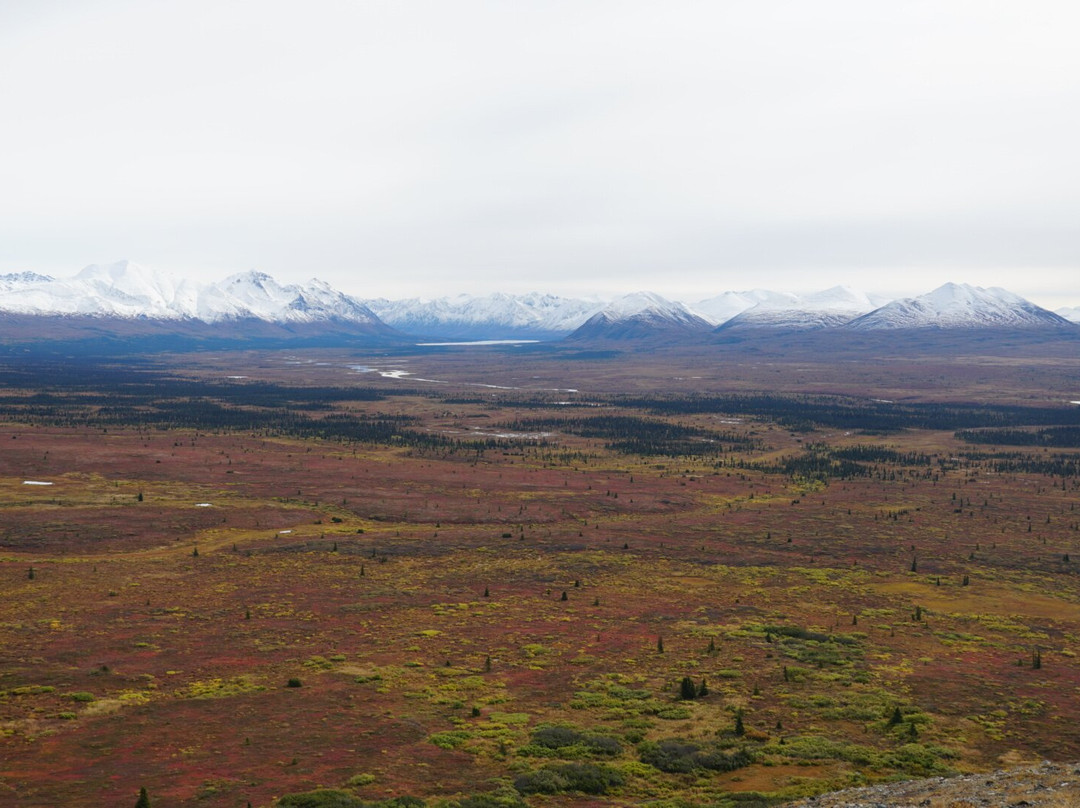 All Alaska Outdoors Lodge主图