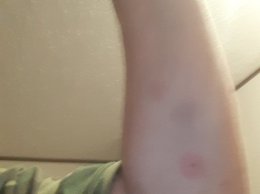 The Micanopy Inn主图