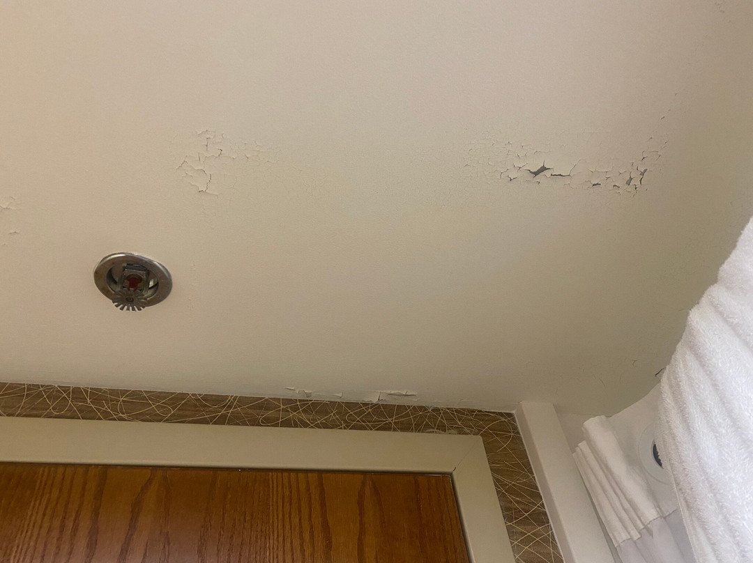 Comfort Inn Fairgrounds主图