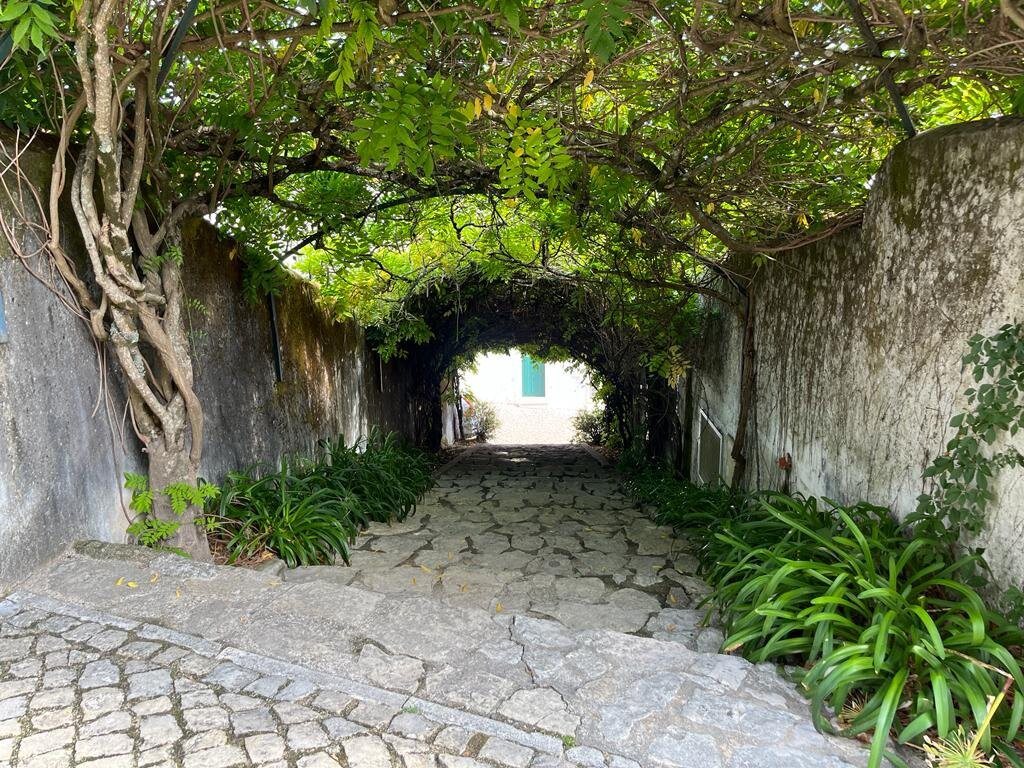 Medieval Town of Ourem, Portugal景点图片