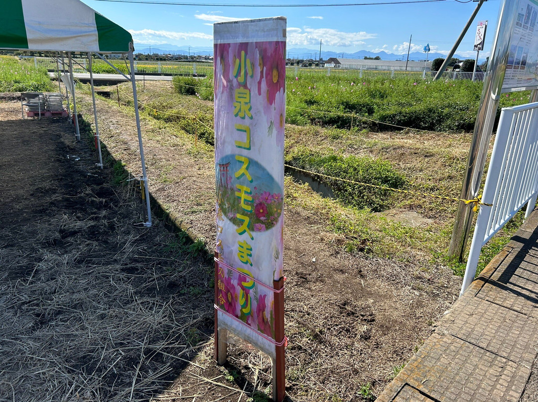 Koizumiinari Shrine-伊势崎市必去景点