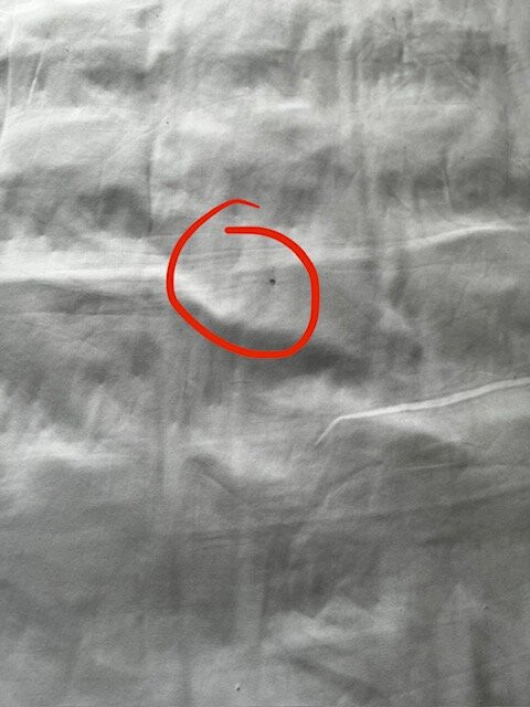 Fiesta Inn Monterrey Valle主图