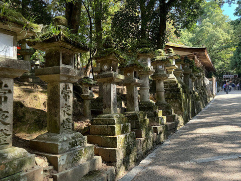 NARAWALK-奈良市必去景点