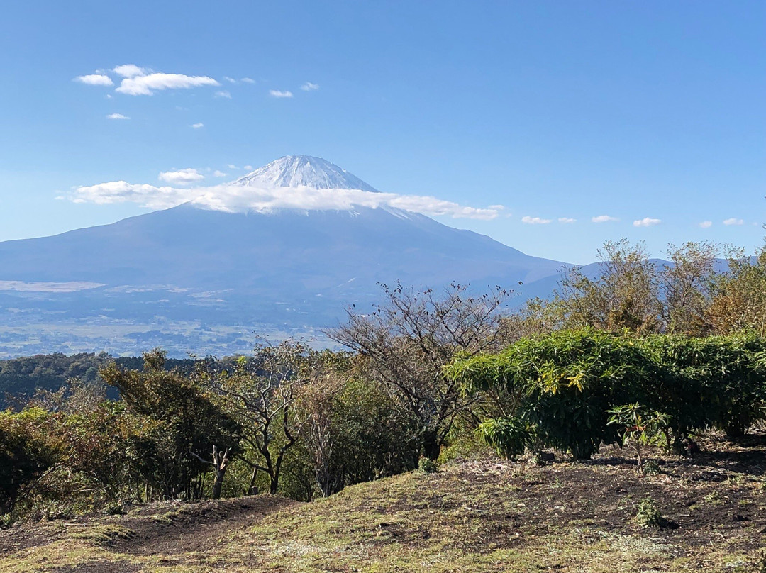 Yaguradake Mountain-南足柄市必去景点