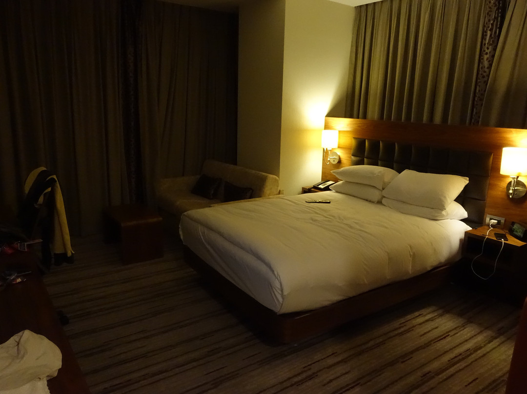Hilton Garden Inn Eskisehir主图