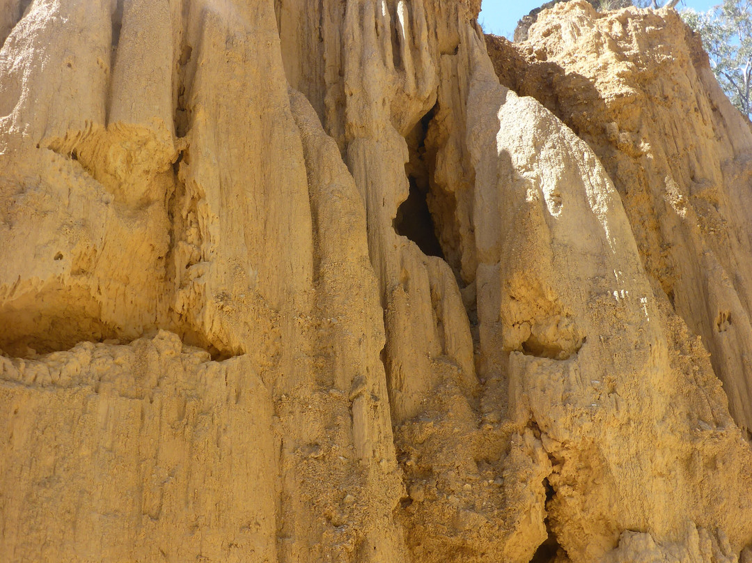 Golden Gully-Hill End必去景点