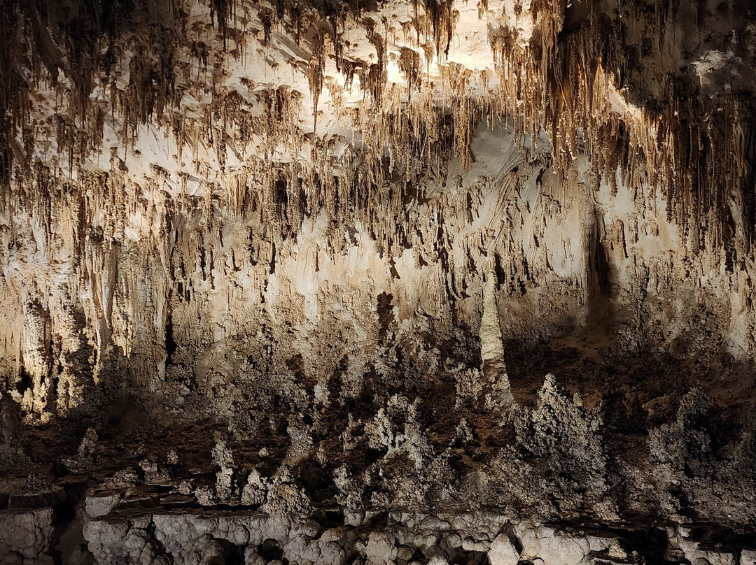 Green Lake-卡尔斯巴德洞穴国家公园必去景点