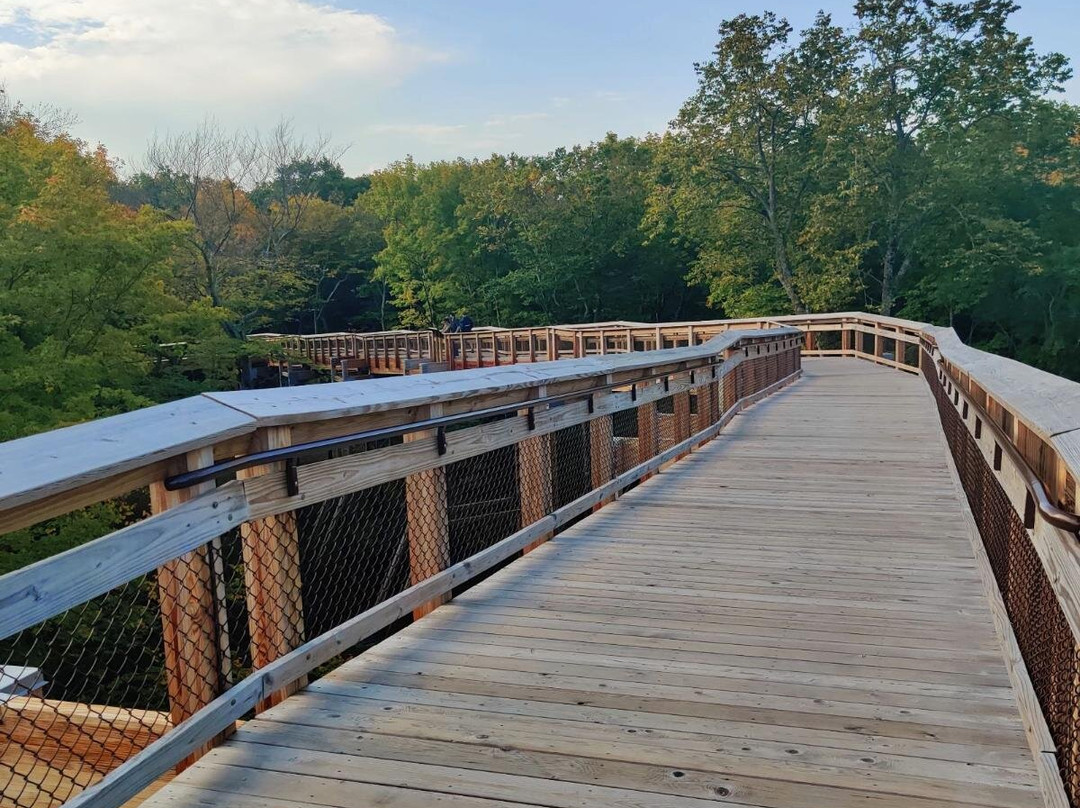 Eagle Tower-Fish Creek必去景点