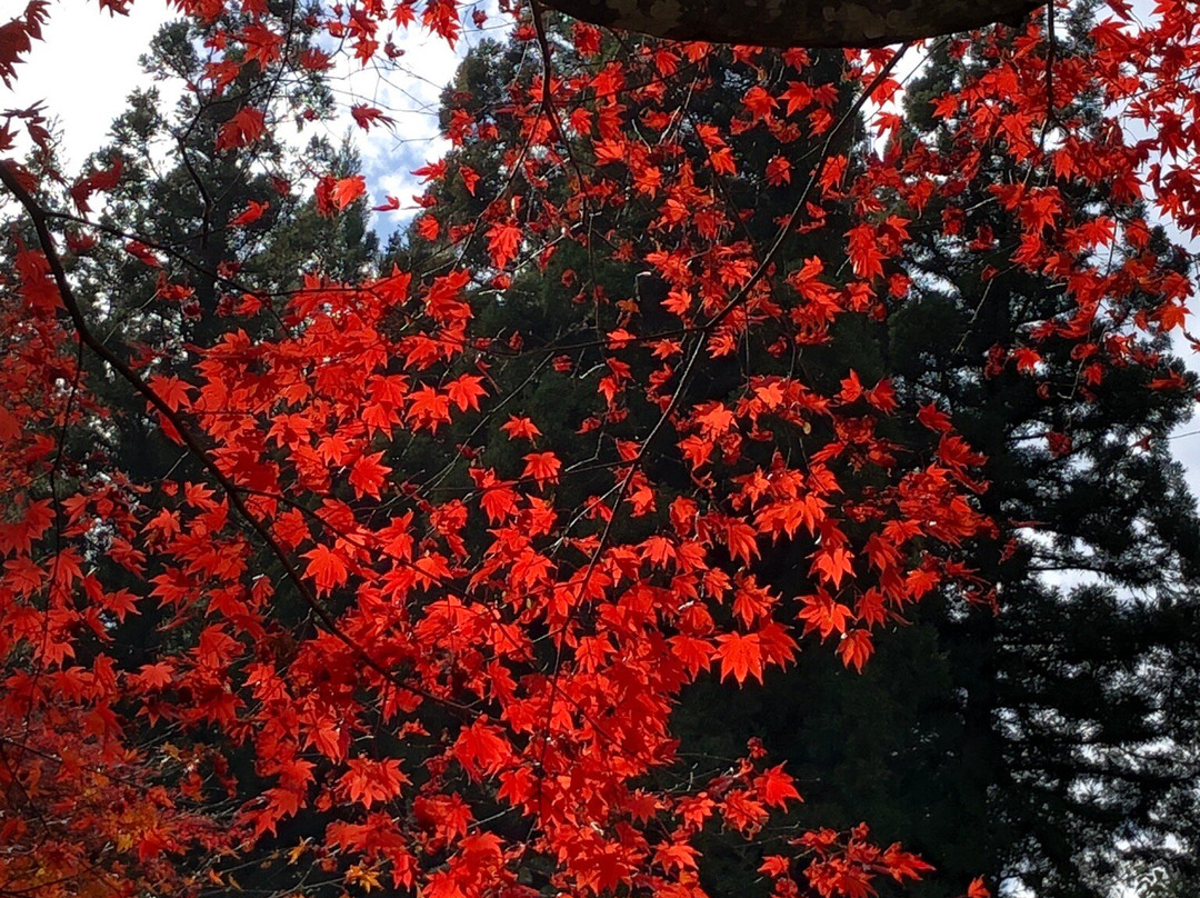 Gyokuryu-ji Temple-下吕市必去景点