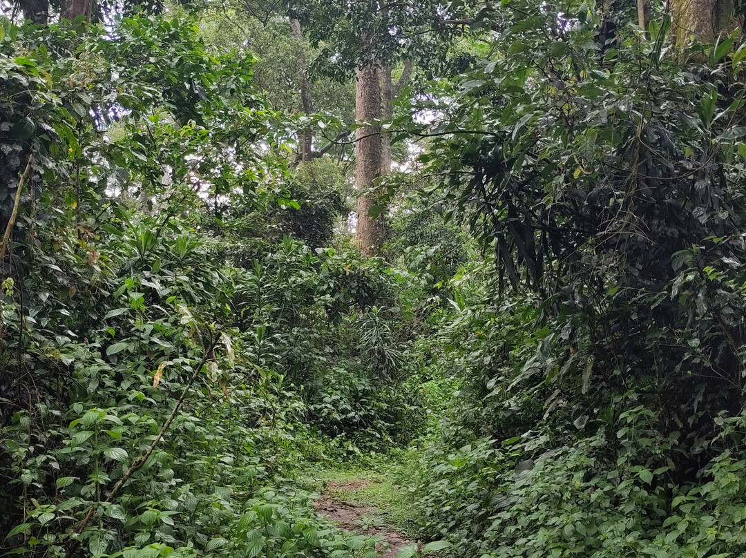 Isecheno Blue Shouldered Guest House主图