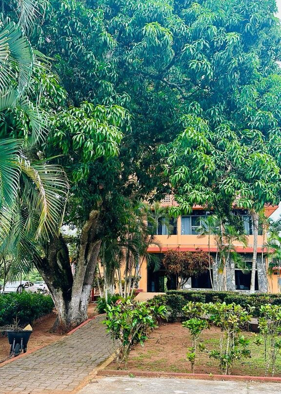 Hotel las Hojitas