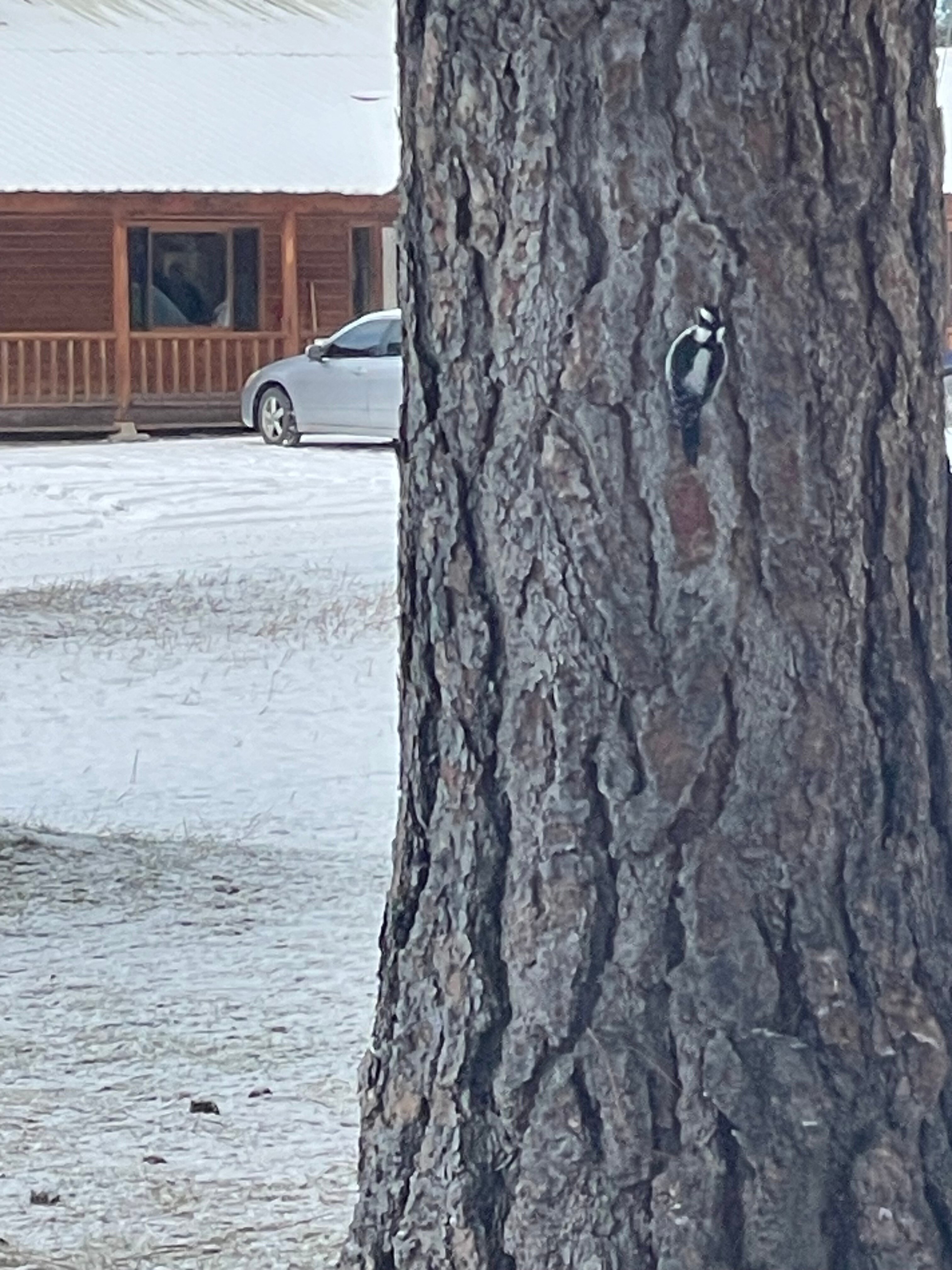 Double Arrow Resort-官方