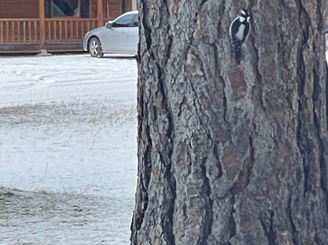 Double Arrow Resort主图