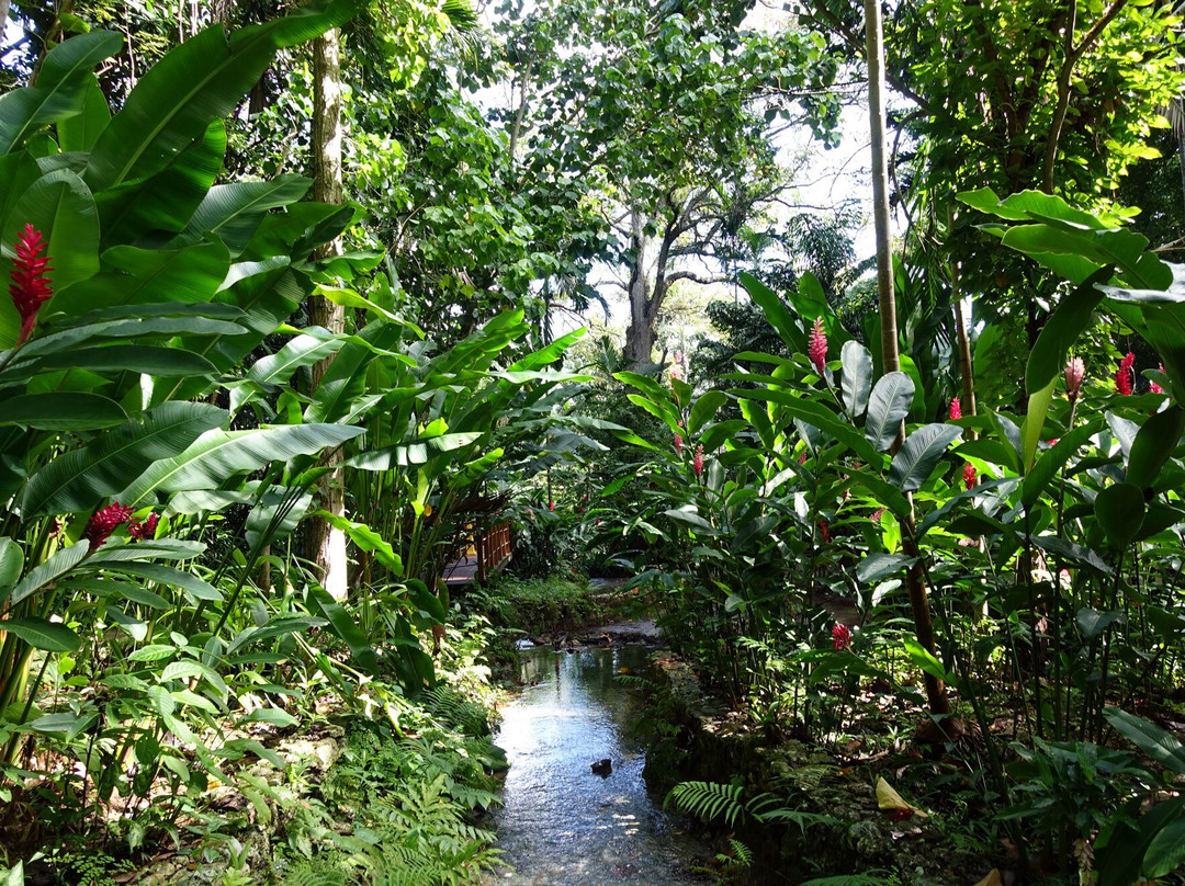 Excursion Ocho Rios Day Tours-奥乔里奥斯必去景点